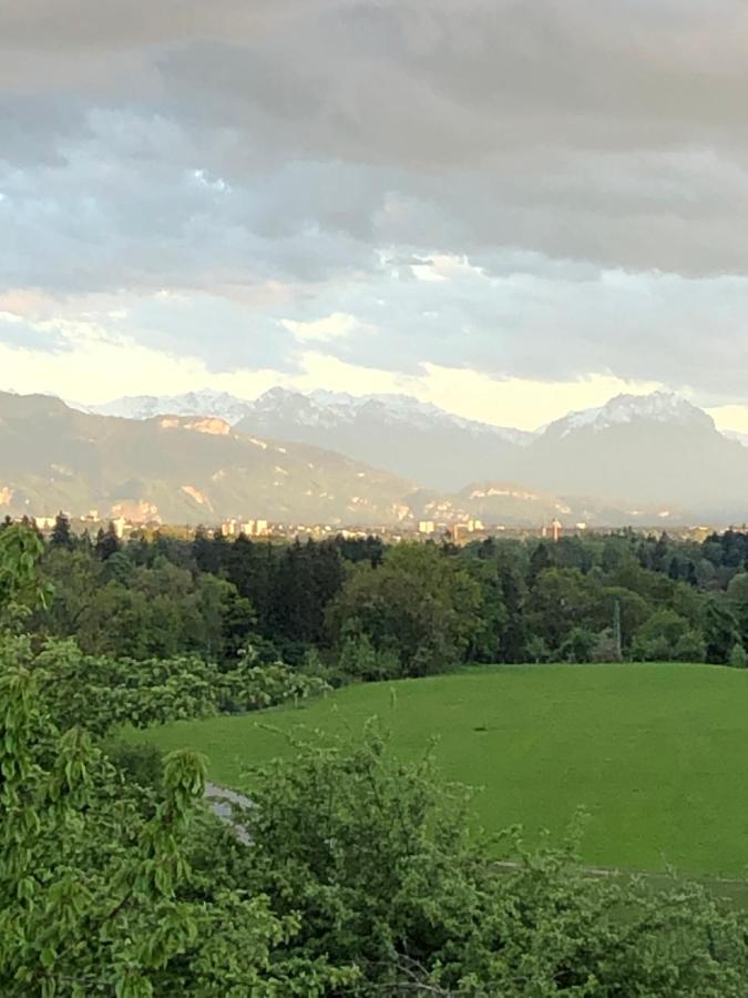 Ferienwohnung Samys Nahe Lindau Am Bodensee Зигмарсцелль Экстерьер фото